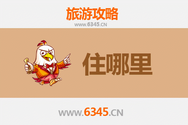石家庄桥西区旅游民宿全攻略：古韵与现代的完美交融